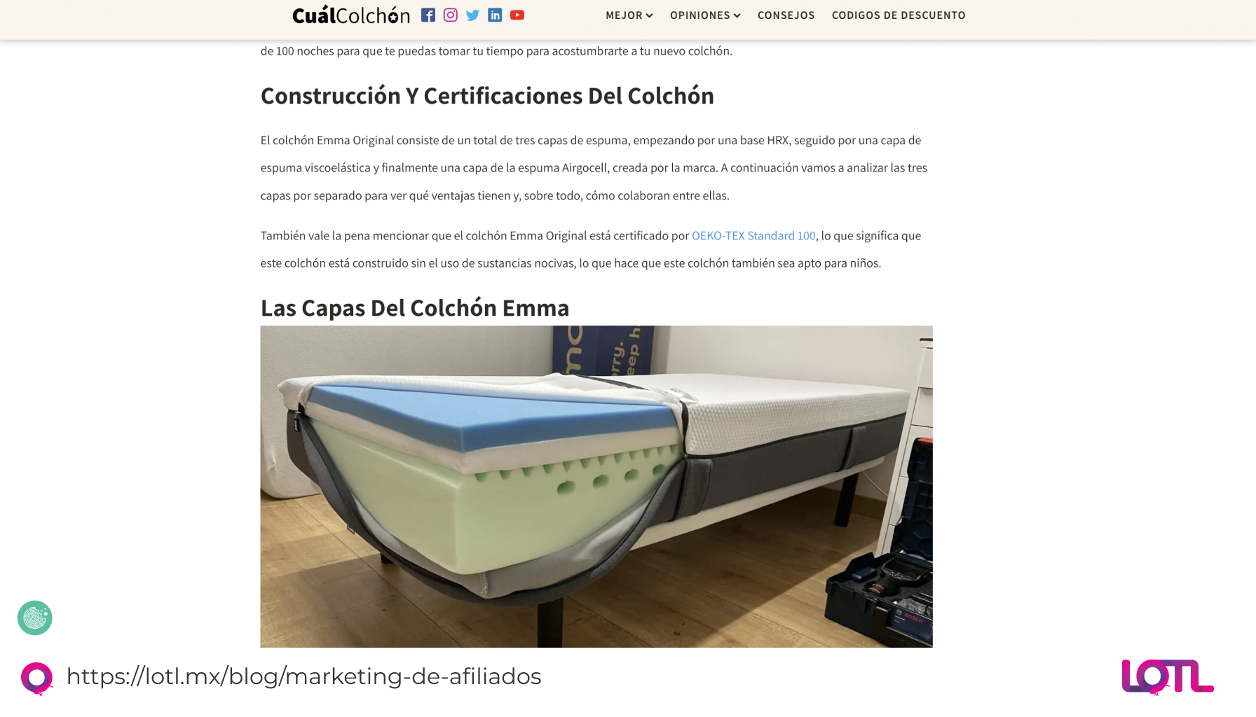contenida de calidad afiliados